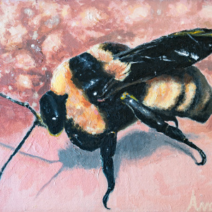 1st-place-Amanda-Marti-9-12-Busy-Bee