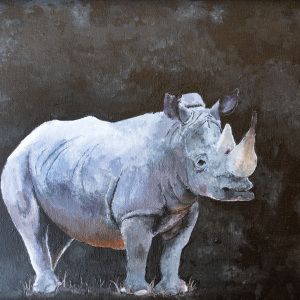1st-place-Amanda-Marti-9-12-The-Lone-Rhino
