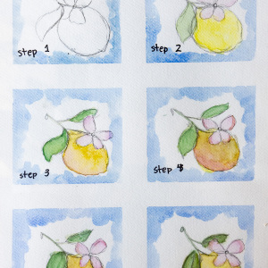 1st-place-Michael-Xu-9-12-Lemons