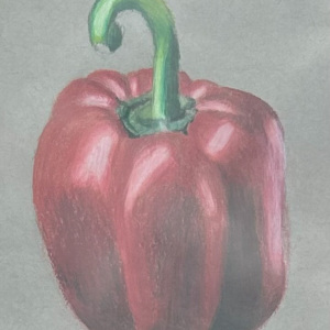 2nd-Place-Maryam-Gado-9-12-Capsicum