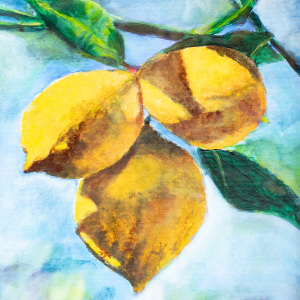 3rd-place-Erika-Rebstock-Adult-Lemons