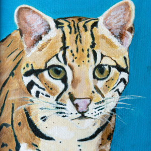 3rd-place-Katherine-Shepherd-Adult-Ocelog