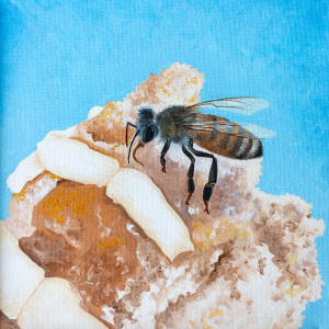 3rd-place-Phaedra-Kline-Adult-Bee-Bun