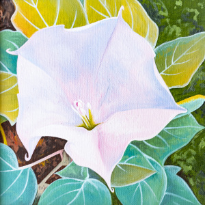 3rd-place-Phaedra-Kline-Adult-Moonflower-2