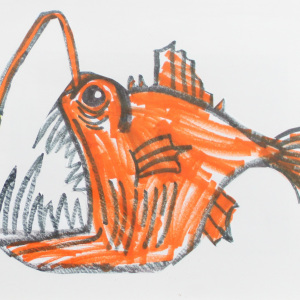 3rd-Place-Harrison-Minns-6-8-Angler-Fish