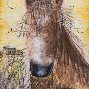 3rd-Place-Itzayana-Contreras-9-12-Wonderful-Farm