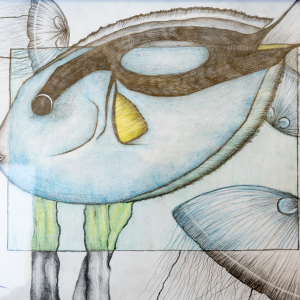 3rd-place-Sophia-Musleh-9-12-Dory