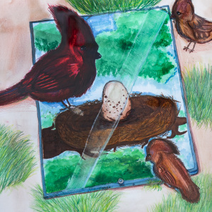 3rd-place-Audrey-Ivy-Teen-Birds-Without-Branches