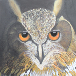 Viewers-Choice-Alma-Burkhart-Adults-Great-Horned-Owl