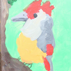 Viewers-Choice-Siaan-Koranne-4-5-Woody-Woodpecker