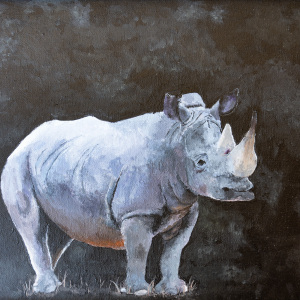 Viewers-Choice-Amanda-Marti-9-12-The-Lone-Rhino