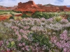 Mollie Holton_Palo Duro Canyon_Honorable Mention_Adult Division_Cordovan Art School Student Show May 2015.jpg