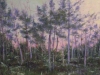 Susan Bryson_Hope_1st Place