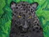 Luke Roberts_Twilight in the Jungle_1st place 9-12