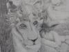 Jim Elliott_A wood be King_2nd Place Adults