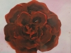 Sofie Ginsburg _The Rose_2nd place 6-8