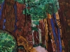 Faatimah Ahmed_ A walk in the woods_3rd place 6-8