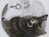Skyler Raller_Spirit of Good & Evil_1st place