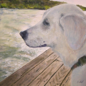 1_Christine_Dog
