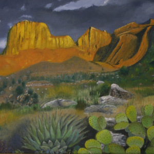 1_Melvin_Cactus