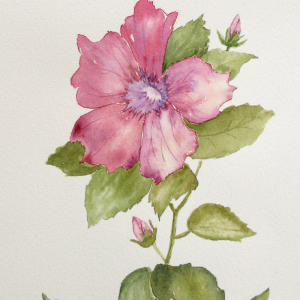 Dorothy-flower_Cordovan-Art-School-Student