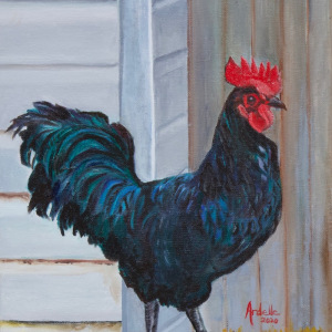 Rooster-1_Cordovan-Art-School-Student