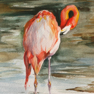 davids-flamingo