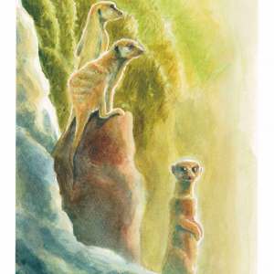 480158530_1282782226162191_2001032424047424489_n