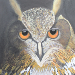 Best-In-Show-Alma-Burkhart-Adults-Great-Horned-Owl