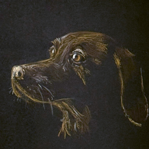 Best-In-Show-Areen-Hassouna-9-12-Gaze-Beyond-Time