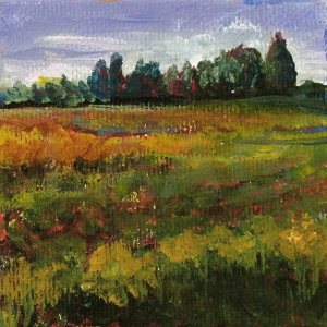 Tarrywhile_Park_1