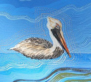 brown-pelican-swimming