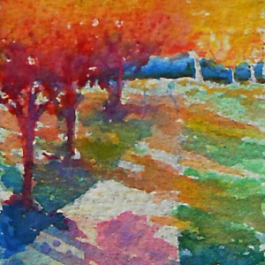 summer-heat-live-oaks