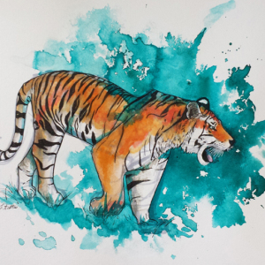 IndianapolisTiger