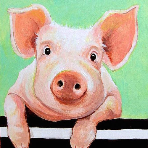 Pig