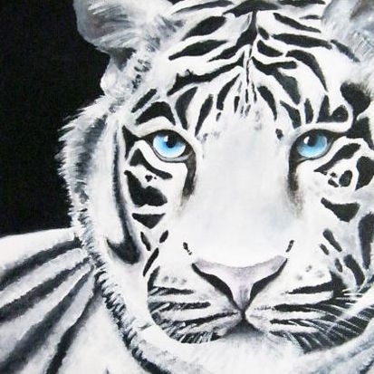 White Tiger
