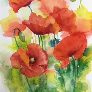 Poppies in Watercolor - Cordovan Art School